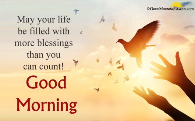 beautiful good morning hd religious blessing picture