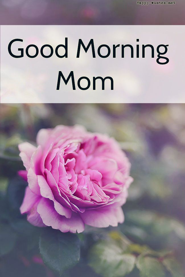 70 Heartfelt Good Morning Wishes And Images For Mother Good Morning