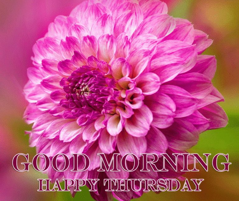 190+ Good Morning And Happy Thursday Wishes - Good Morning Wishes