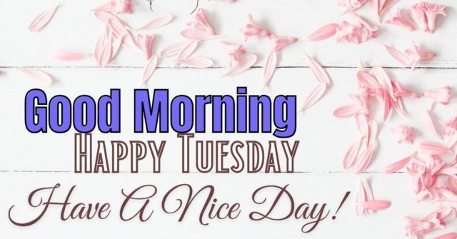 Happy Tuesday Good Morning Images With Quotes Hd Download