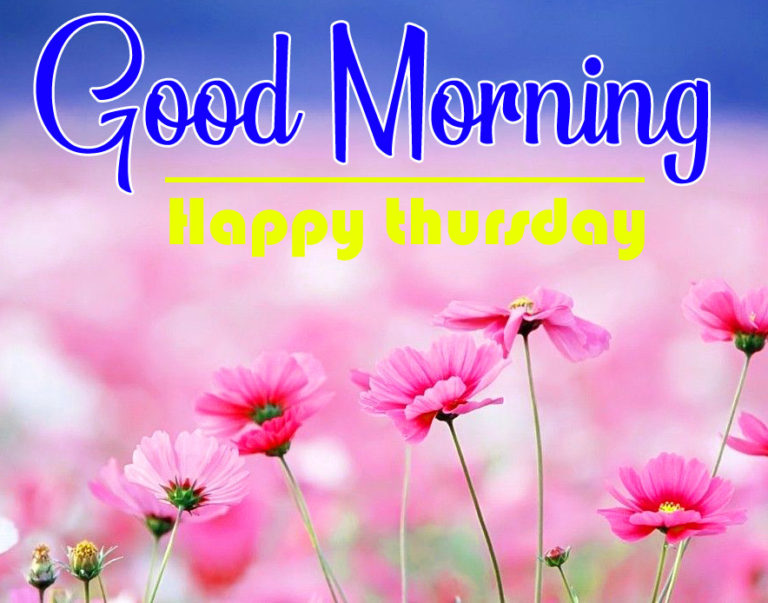 190+ Good Morning And Happy Thursday Wishes - Good Morning Wishes