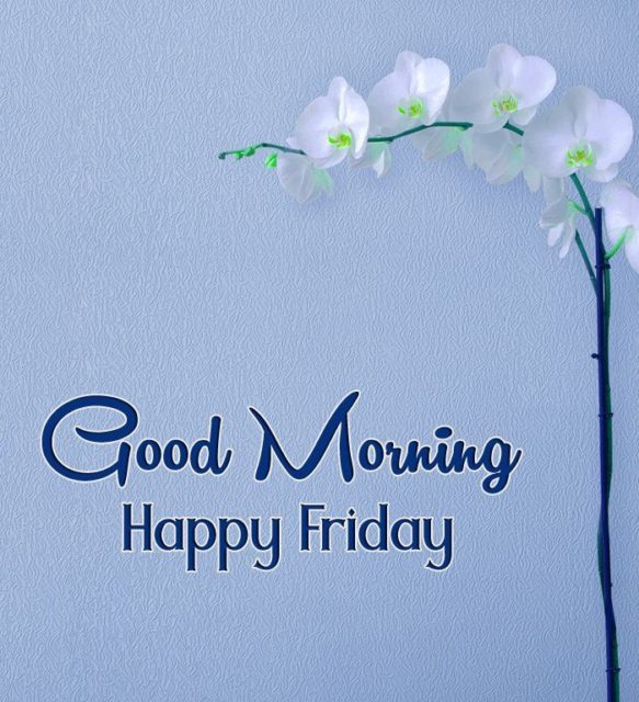 Good Morning Friday5