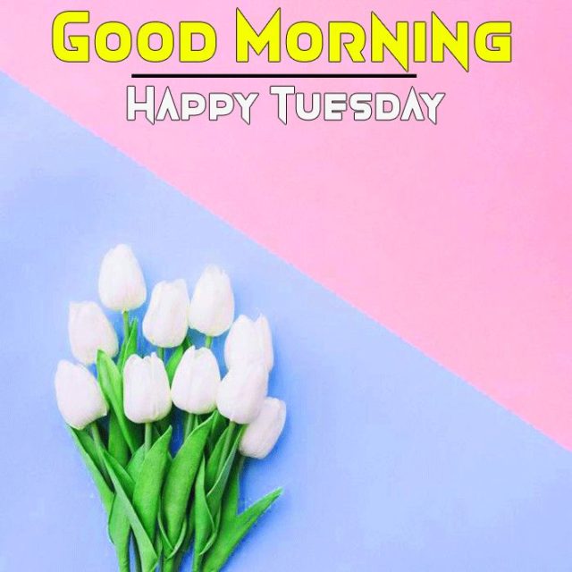 Good Morning Happy Tuesday Images 01 1