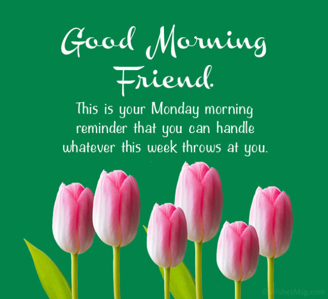 Good Morning Monday Wishes For Friends