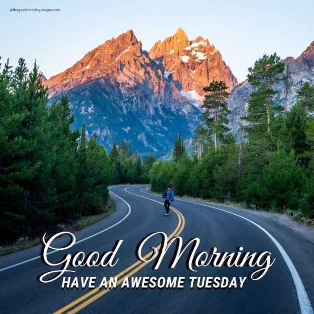 Good Morning Tuesday Images 8