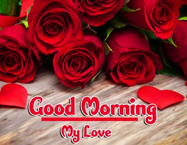 Red Rose Good Morning Images Hd Download 53