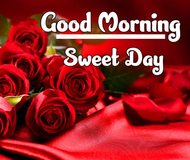Red Rose Good Morning Images Hd For Girlfriend 47