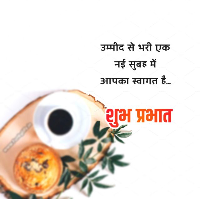 Good Morning Quotes In Hindi 14