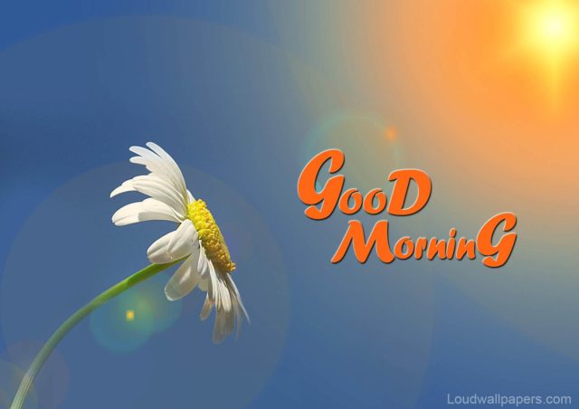 1435222 Beautiful Good Morning Wallpaper 1920x1357 For 1080p