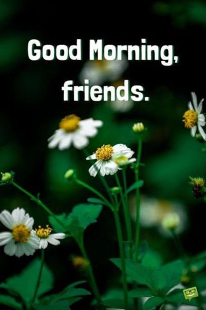28 Good Morning Message For Friends Morning Wishes Quotes With Images And Pictures 15