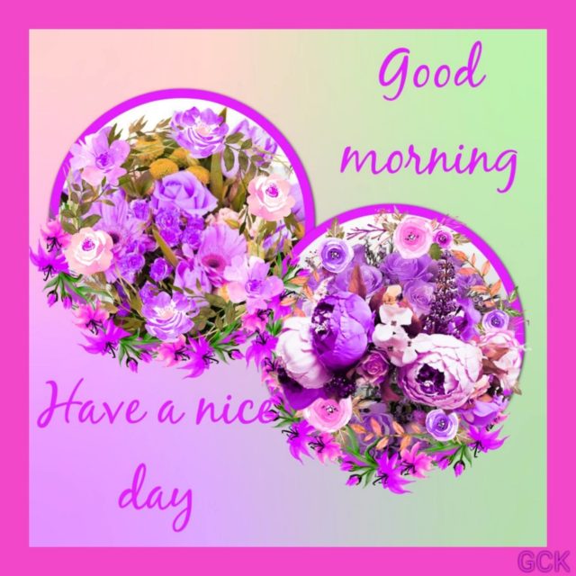 394956 Good Morning Have A Nice Day