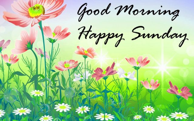 65 657223 Good Morning Happy Sunday Flowers