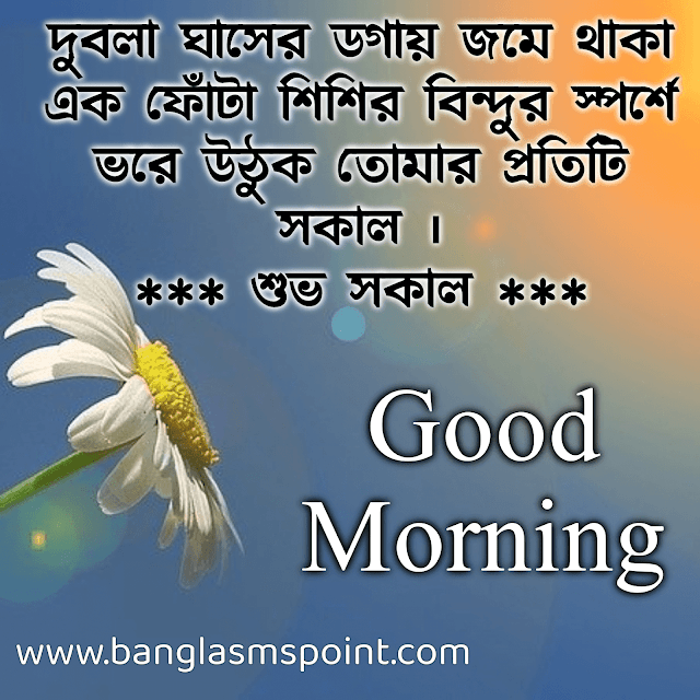 Bangla Good Morning Sms (1)