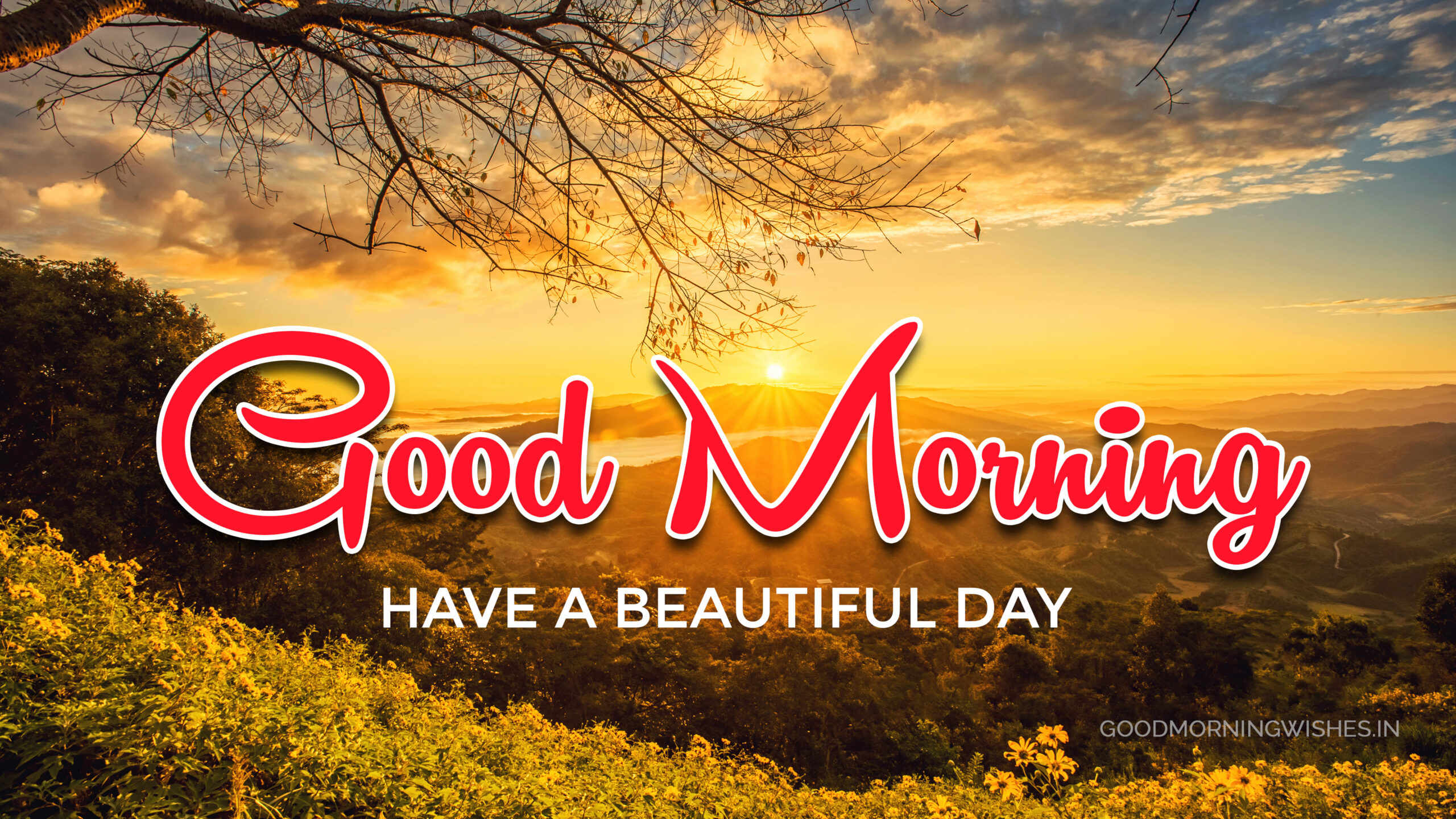 Goodmorning 4K wallpapers for your desktop or mobile screen free and easy  to download