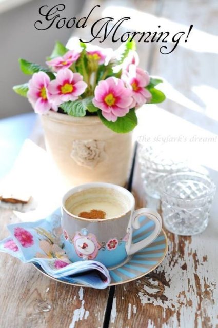 Coffee Good Morning Flower 11