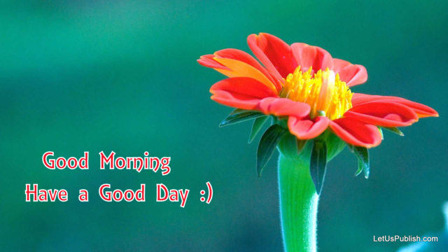 Cute Good Morning Flower Wallpaper