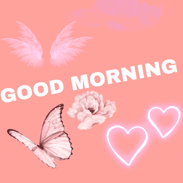 Good Morning Butterfly Gif Images 1111