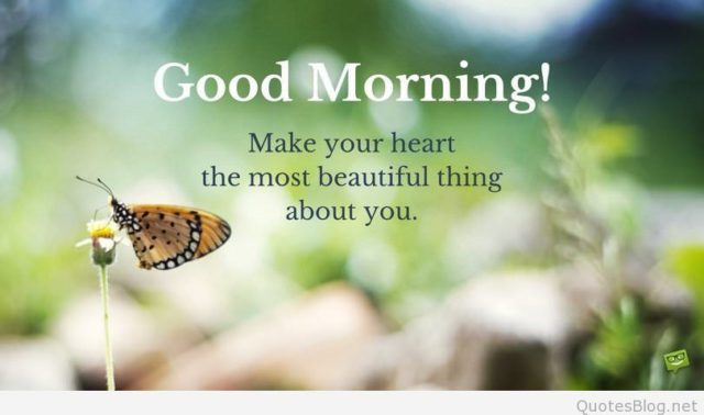 Good Morning Butterfly Quotes Tumblr 2