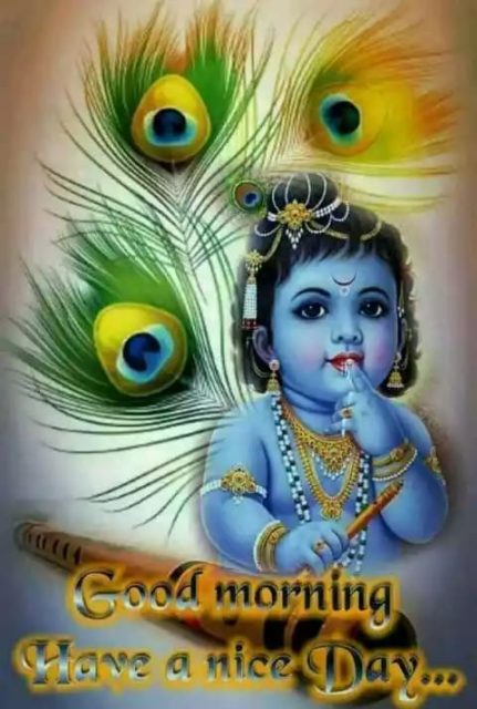 Good Morning Krishna Images Wishes 5