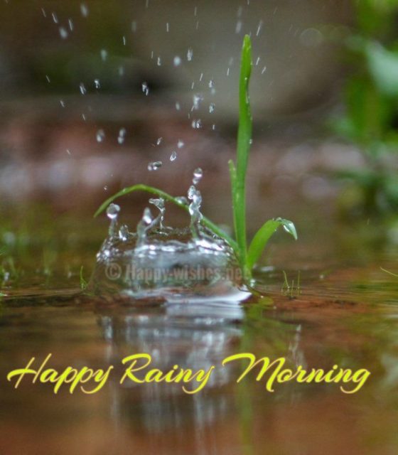 Good Morning Rainy Images17