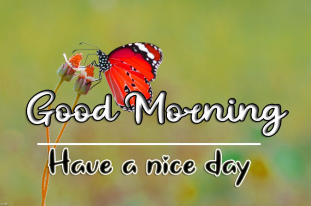 Good Morning Wishes Images Hd 1080p 2