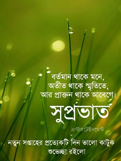 Good Morning In Bengali 5