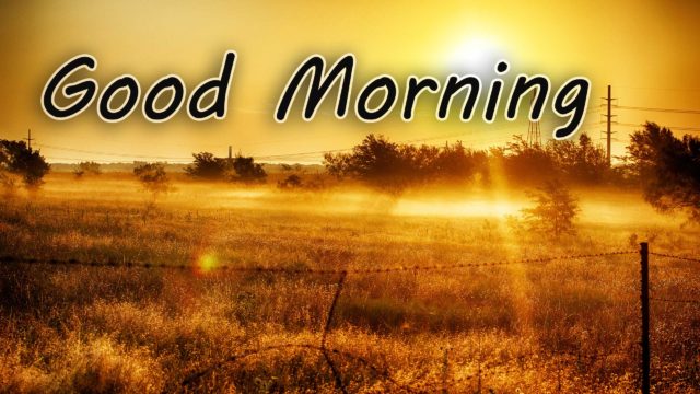 Good Morning Images Hd 1080o Download 21