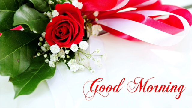 Good Morning Images Hd 1080o Download 3