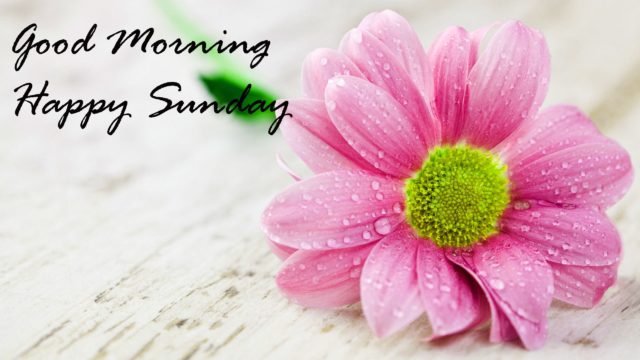 Good Morning Images Hd 1080o Download 6