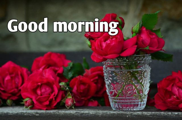 Good Morning Images Hd 1080o Download 7