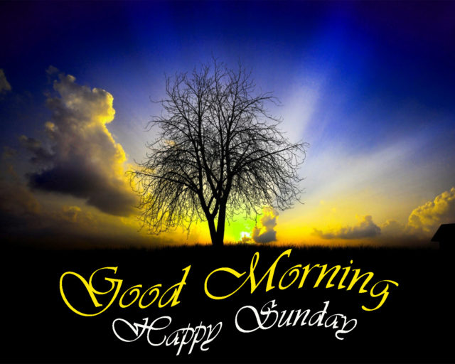 Good Morning Images Hd 1080o Download 8