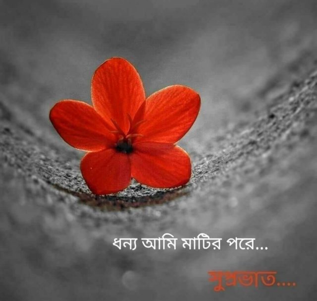 Good Morning In Bengali 6