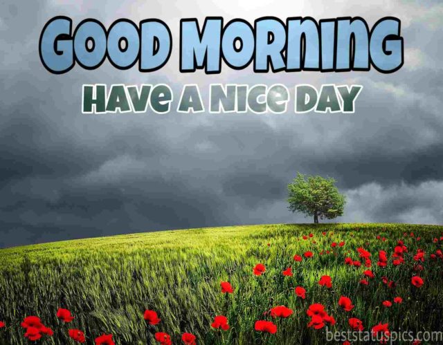 Good Morning Nature Image Hd 1