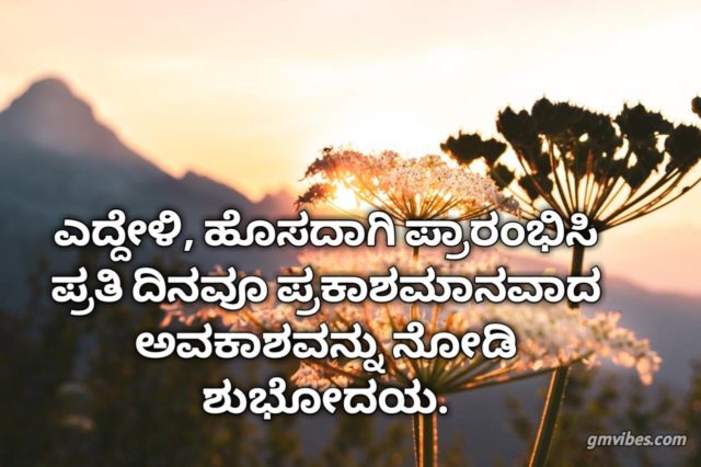 Good Morning Quotes In Kannada 4