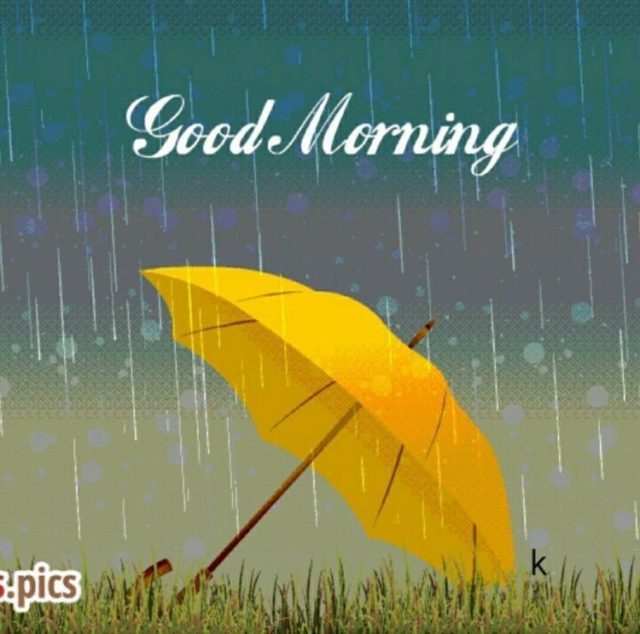 Good Morning Rain Images1