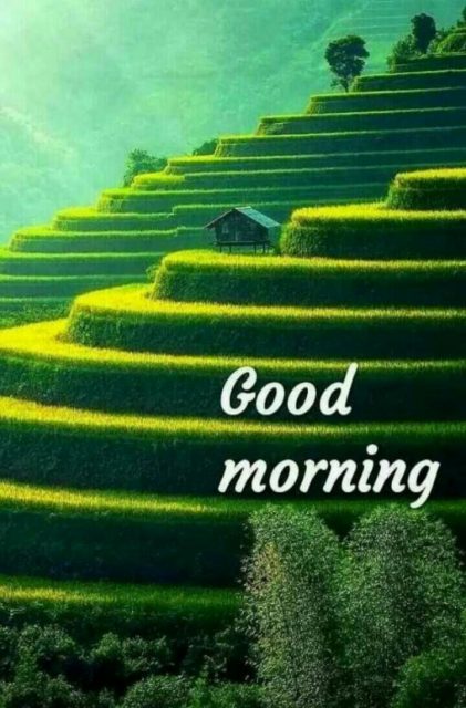 Green Good Morning Images 10
