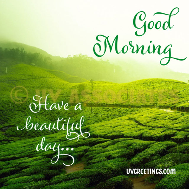 Green Good Morning Images 20