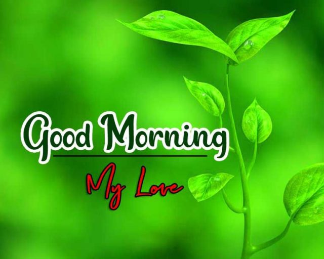 Green Good Morning Images 27