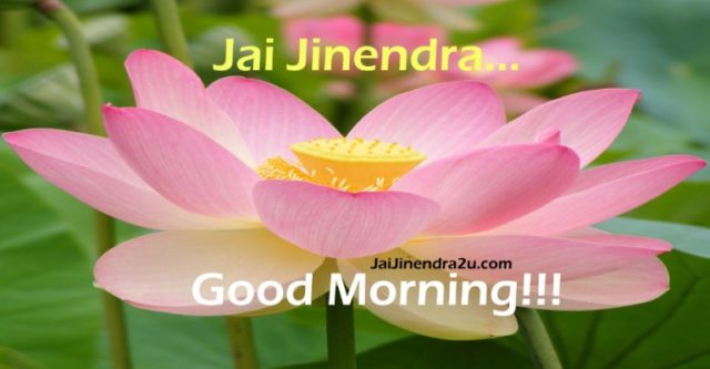 Jai Jinendra Good Morning Wallpaper With Beautiful Pink Flower And Green Leaves 768x400