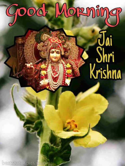 Jai Shree Krishna Good Morning 1