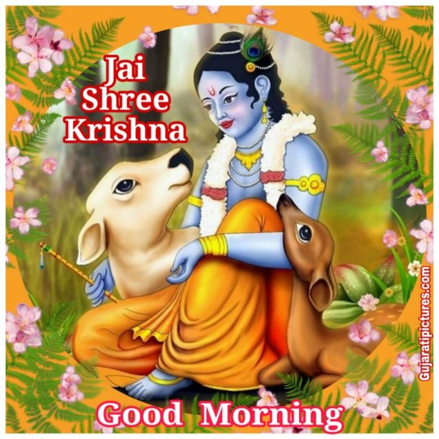 Jai Shree Krishna Good Morning