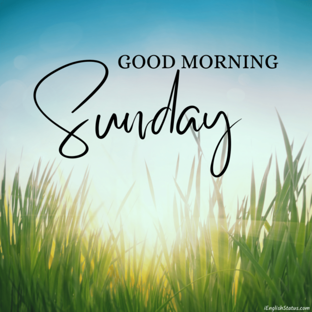 New Good Morning Sunday Images 1024x1024