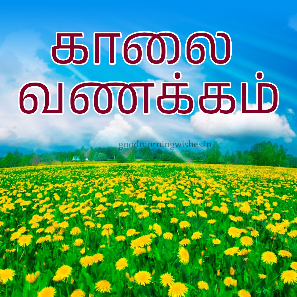 Tamil Good Morning Wishes, Images and Sms