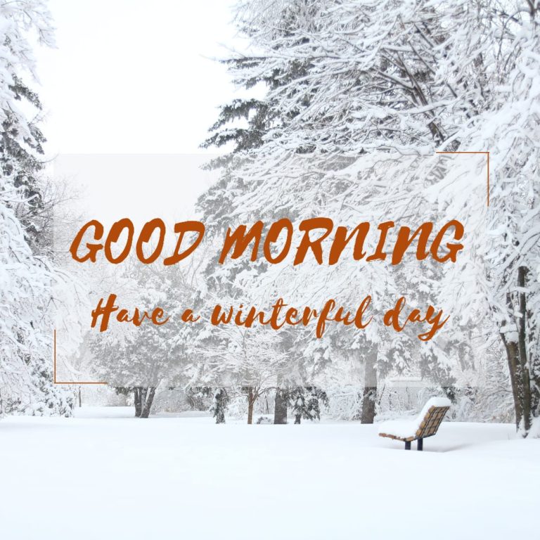 110+ Good Morning Winter Wishes & Images For Everyone - Good Morning Wishes