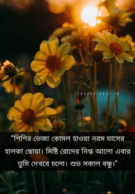 Good Morning In Bengali For Friend 712x1024