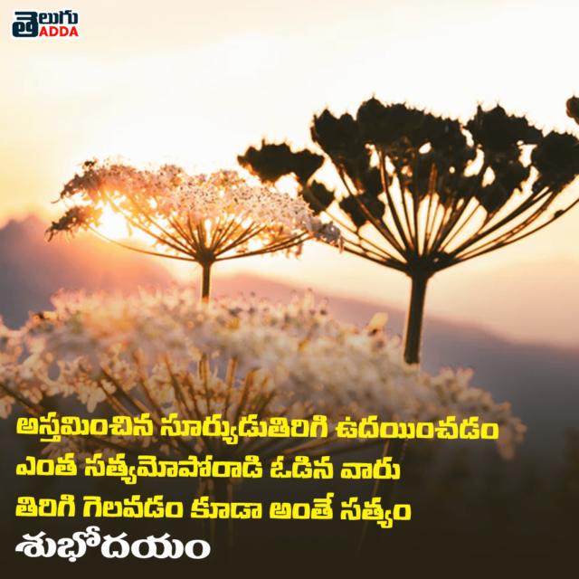 Good Morning Quotes Telugu 1