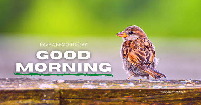 Good Morning Wishes With Sparrow Bird Nature Greetings