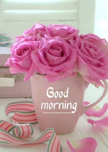 Good Morning With Pink Flowers 8627022