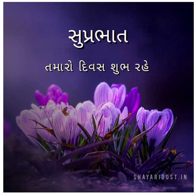 Shubh Savar Good Morning Quotes In Gujarati Sms