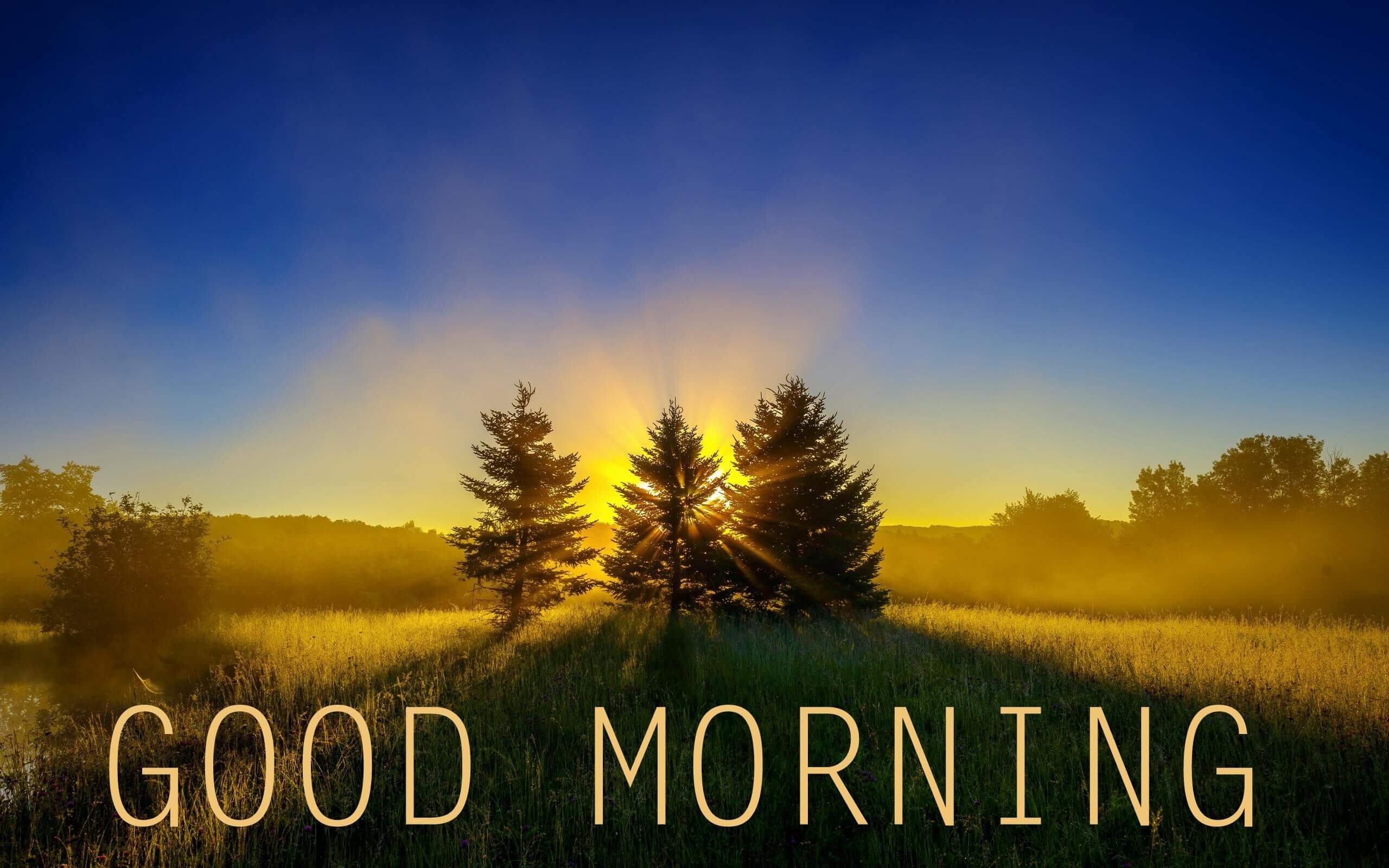 90+ Sunrise Good Morning Images & Wishes - Good Morning Wishes